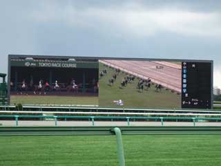 Pantalla de LEDs gigantesca en el hipódromo de Nakayama en Japón