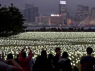 25 000 rosas do LED em Hong Kong no Dia dos Namorados